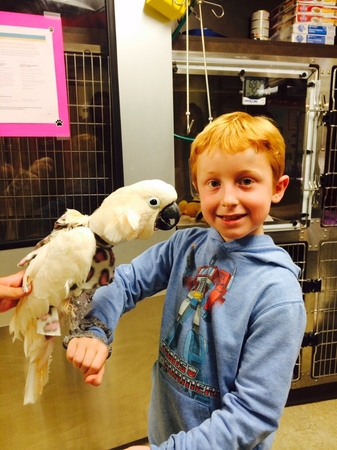 Images VCA Bridgeport Animal Hospital