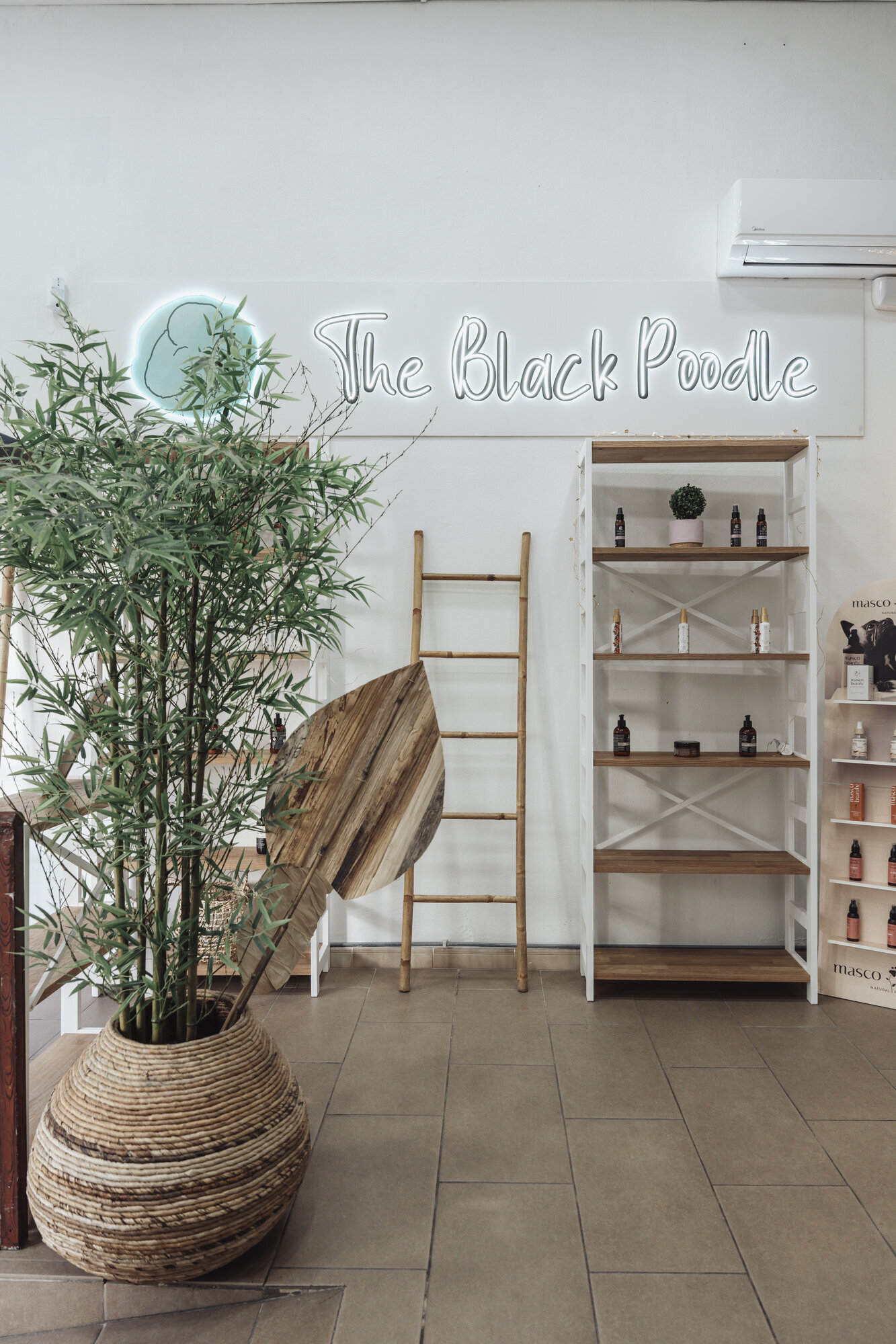 Images The Black Poodle Groom & Care S.L.