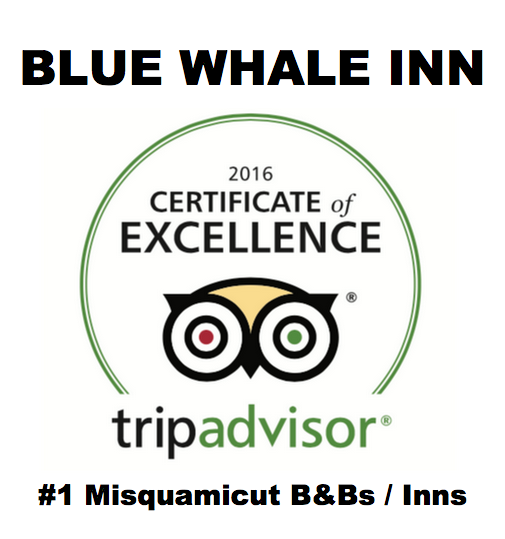 BLUE WHALE INN is proudly awarded TripAdvisor's 2016 Certificate of Excellence BLUE WHALE INN Misquamicut Beach (401)675-7416