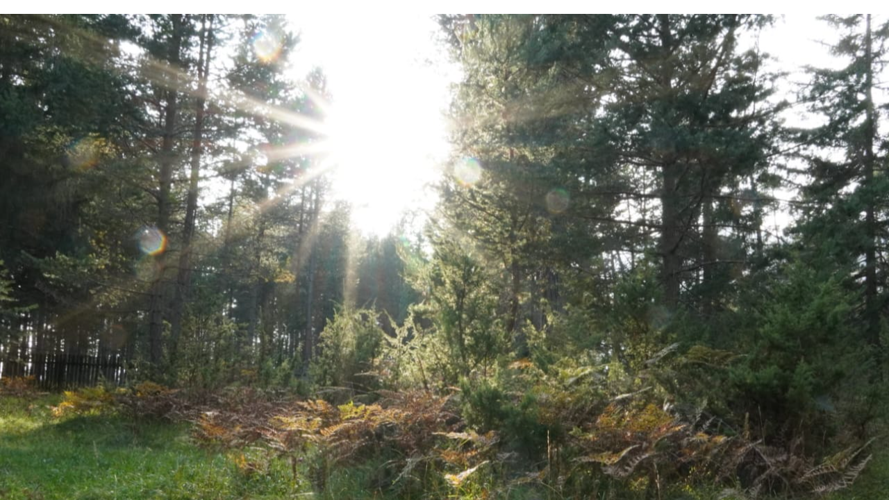 Abenteuer Tirol, Hauptstraße 41 in Tarrenz