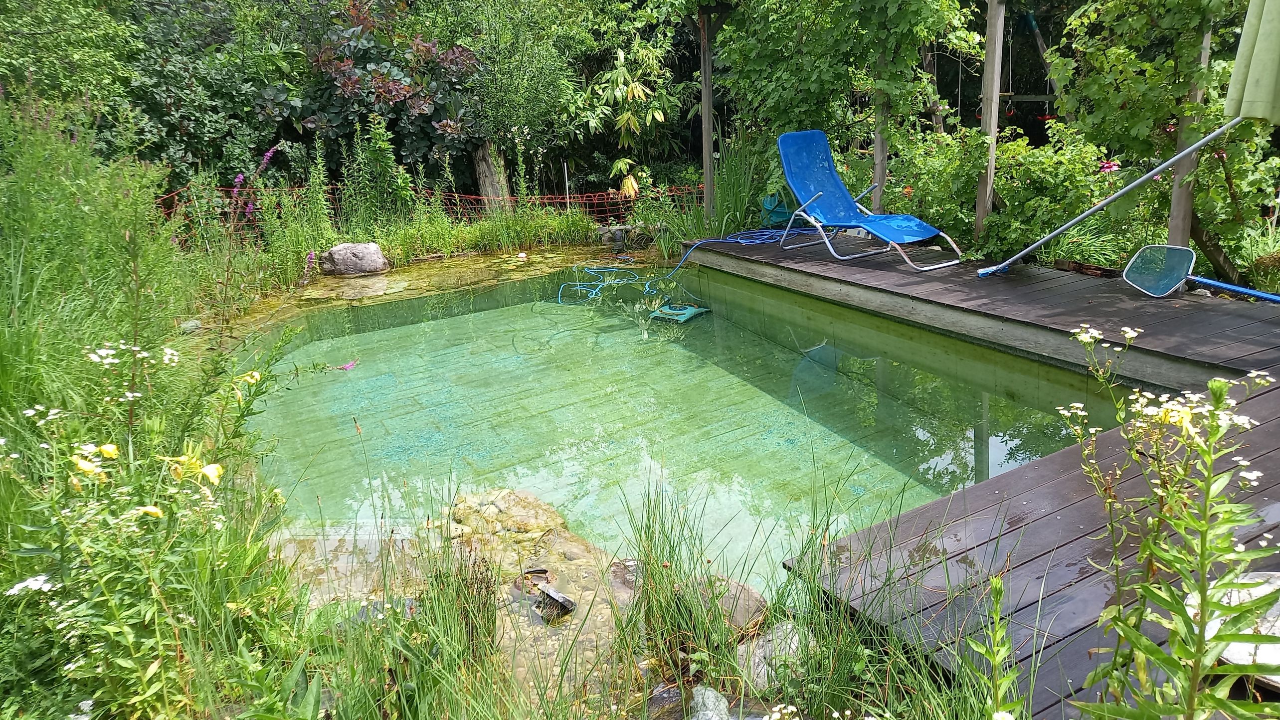 Bilder R&R MULTI SERVICES SÀRL