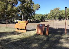 Mogote Meadow Cabins & RV Park Image