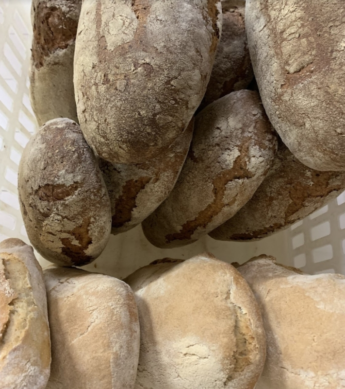 Images Panificio e Panetteria il Forno Bio di Giò