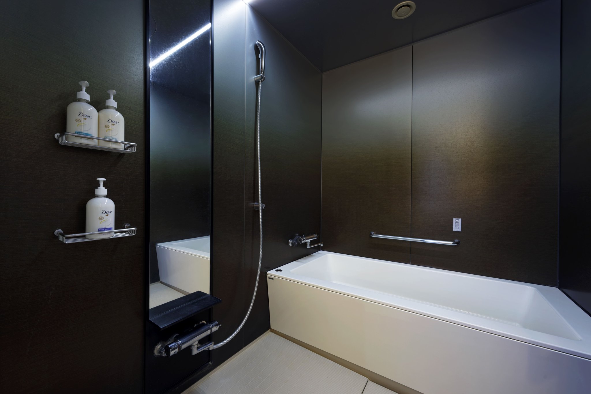 Images Holiday Inn & Suites Sapporo Odori Park by IHG