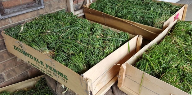 Images Green's Produce and Plants