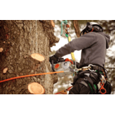 Total Care Tree Specialists