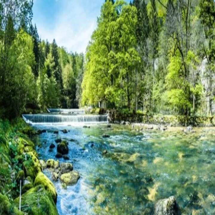 Images Alternative Paths Counseling & Psychotherapy Services