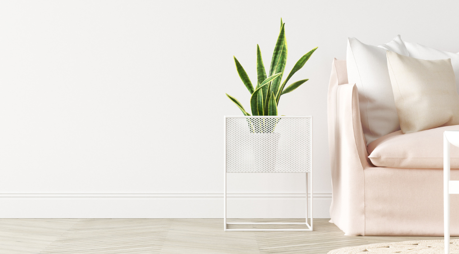 Declutter My Home Image