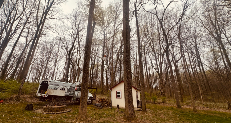 A tree service truck with a cherry picker is parked next to a small white shed in a wooded area. The truck has "DREAM JOB TREE CARE" written on its side. There is a fire pit in the foreground, and the trees are bare, suggesting it is either early spring or late fall. Logs are piled next to the shed, and a wheelbarrow is nearby.
