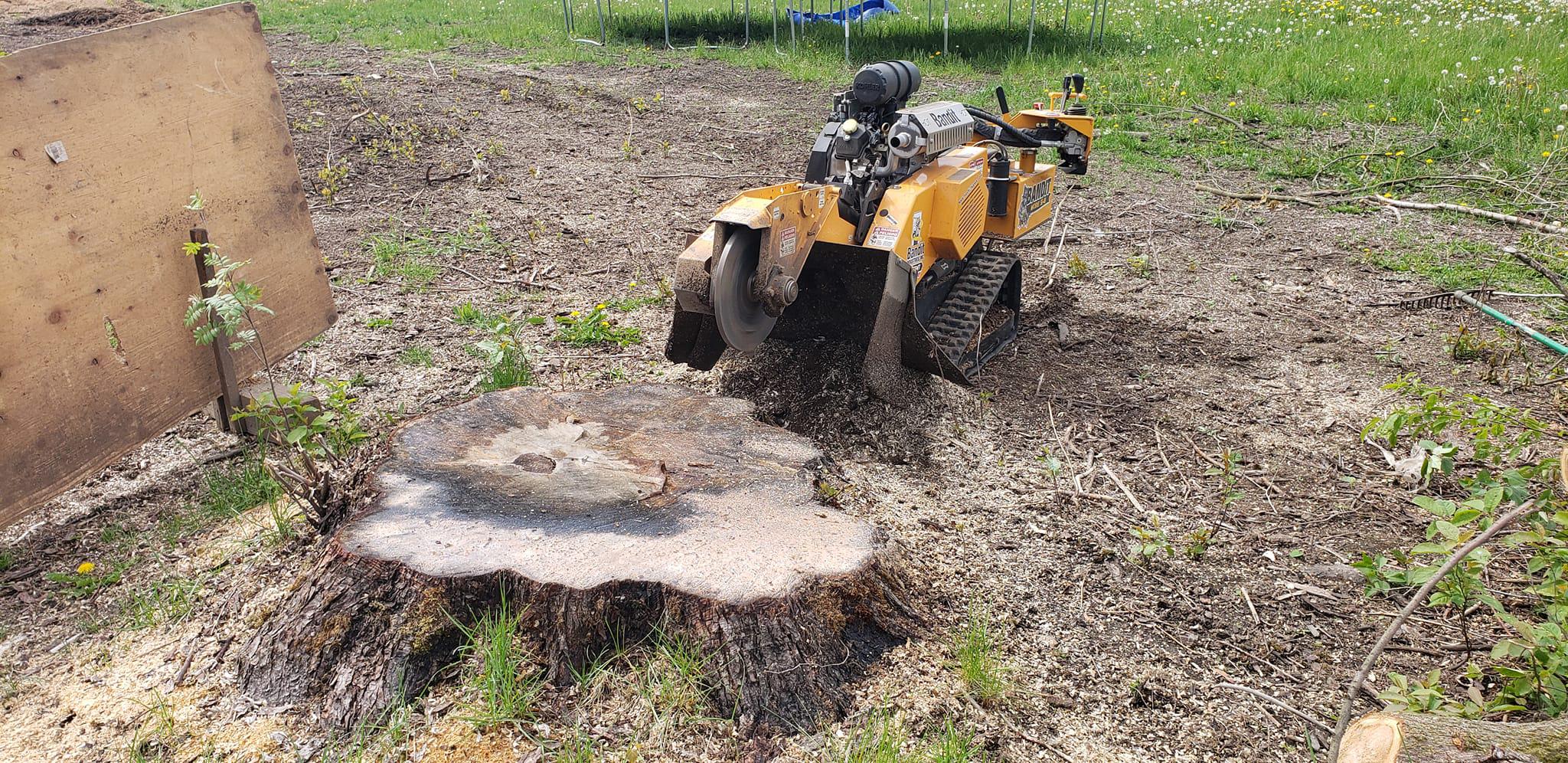 Image 5 | Affordable stump grinding