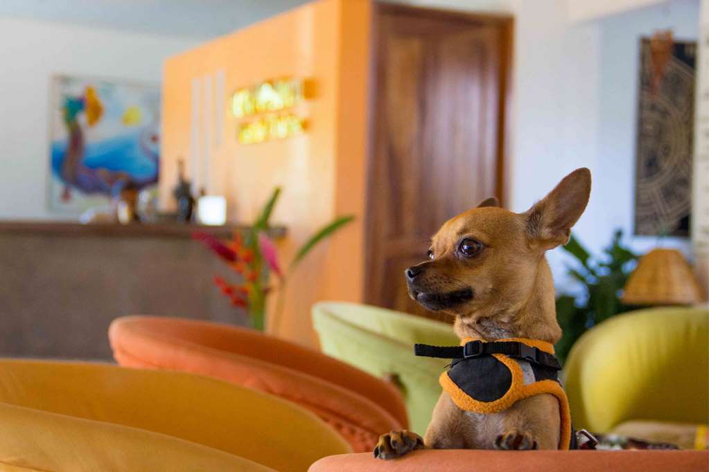 Images Best Western Posada Chahue