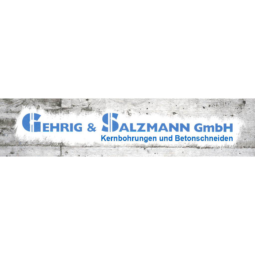 Gehrig und Salzmann GmbH Logo