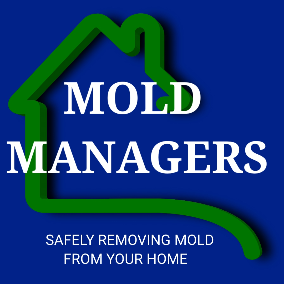 Mold Managers, LLC
