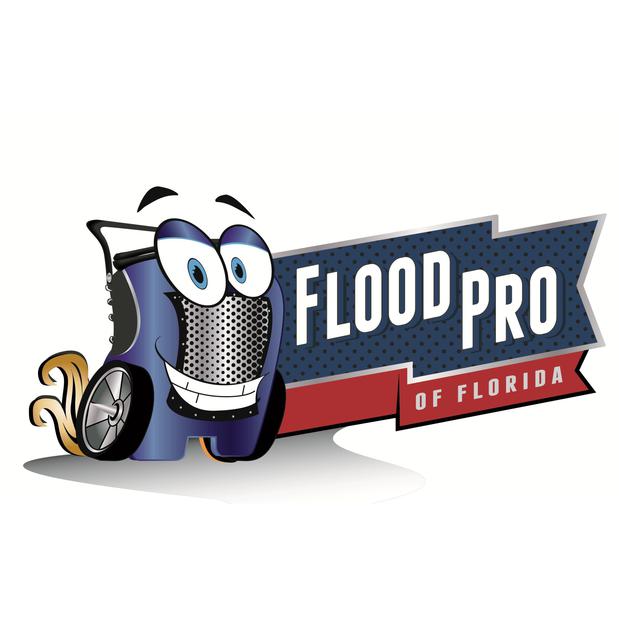 Flood Pro of Florida Logo