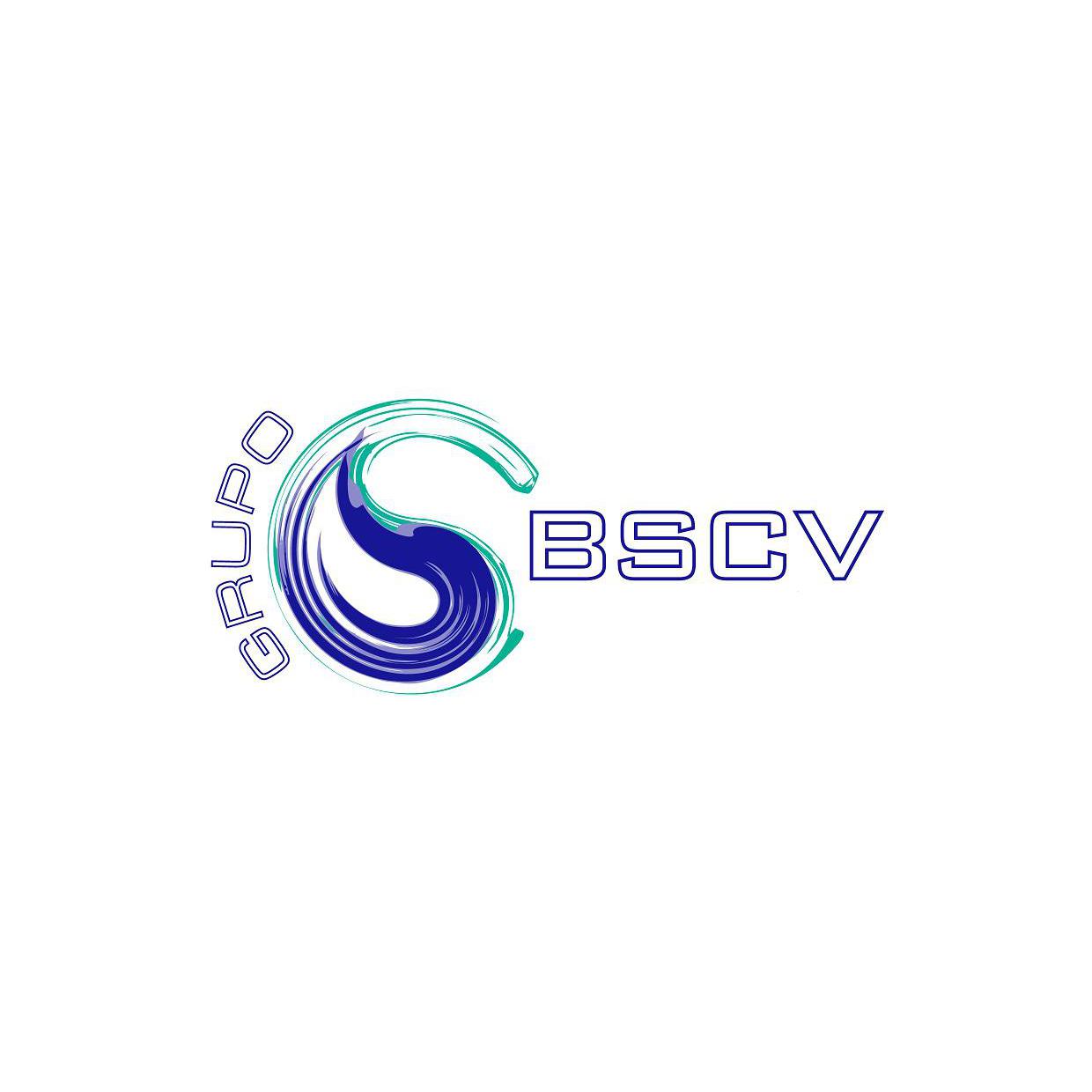 Grupo Bscv Logo
