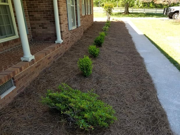 Images Southern Lawn Management, LLC