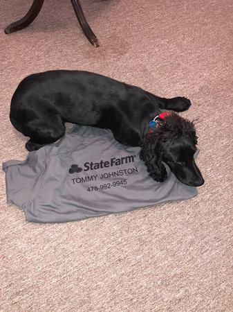 Images Tommy Johnston - State Farm Insurance Agent