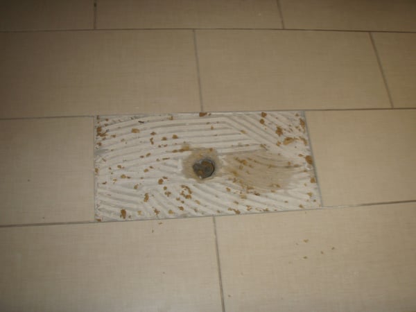Bilder Andreas Heck Techn. Gebäudetrocknung GmbH