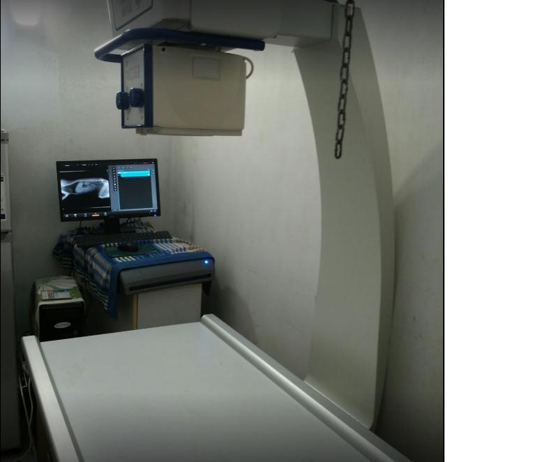 Images Ambulatorio Veterinario Rosini Dott. Emidio