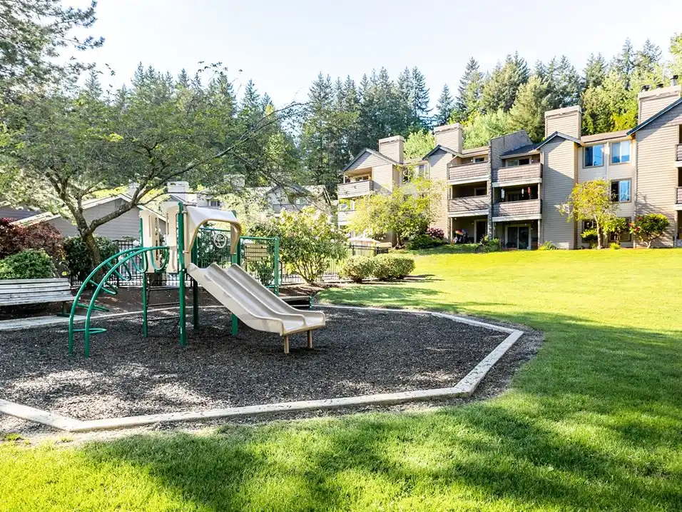 Playground Area