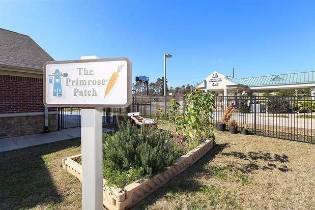 Images Primrose School of Conroe