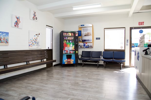 Images VCA McClave Animal Hospital