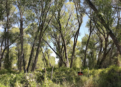 Mogote Meadow Cabins & RV Park Image