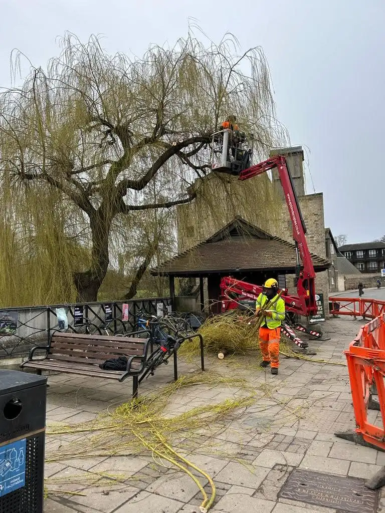 Images S P Landscapes & Tree Contractors