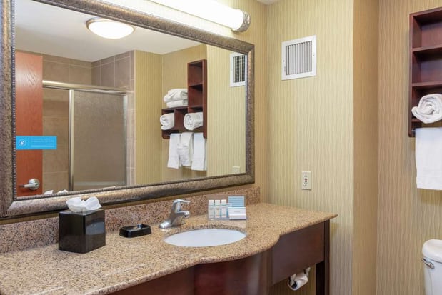 Images Hampton Inn East Lansing