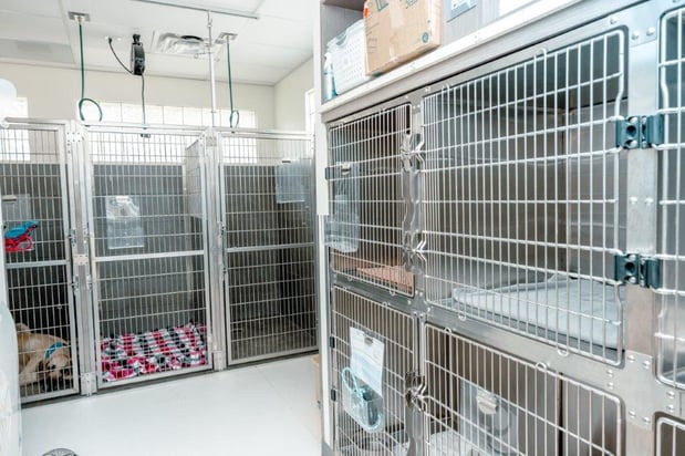 Images VCA Veterinary Hospital of Leon Springs