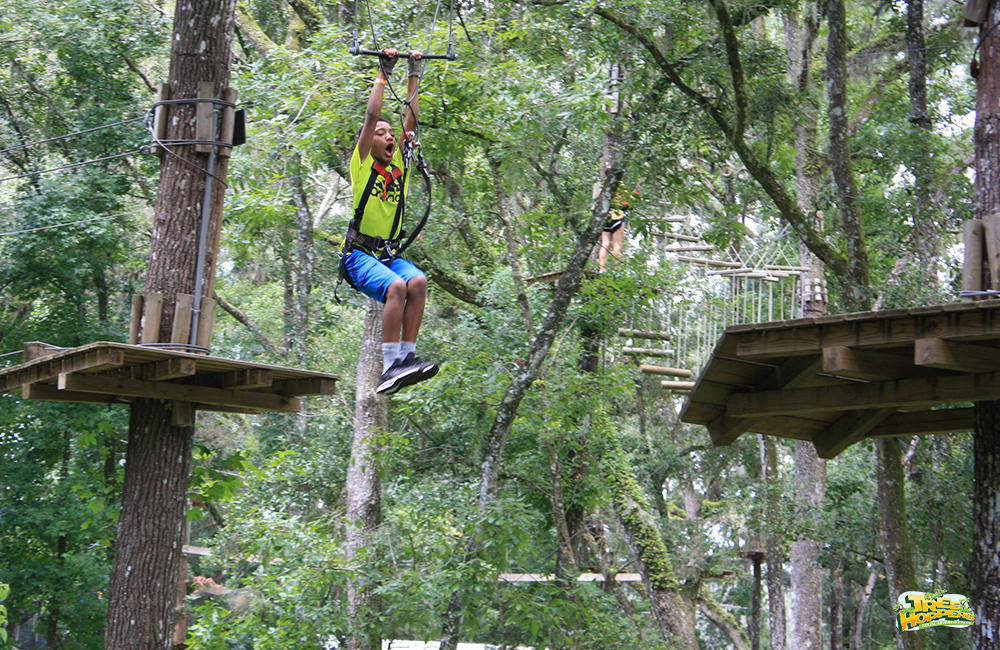 Swing from tree to tree at TreeHoppers TreeHoppers Aerial Adventure Park Dade City (813)381-5400