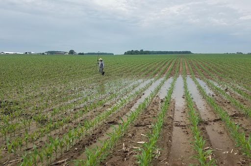 Images Evergreen Consultants, LLC