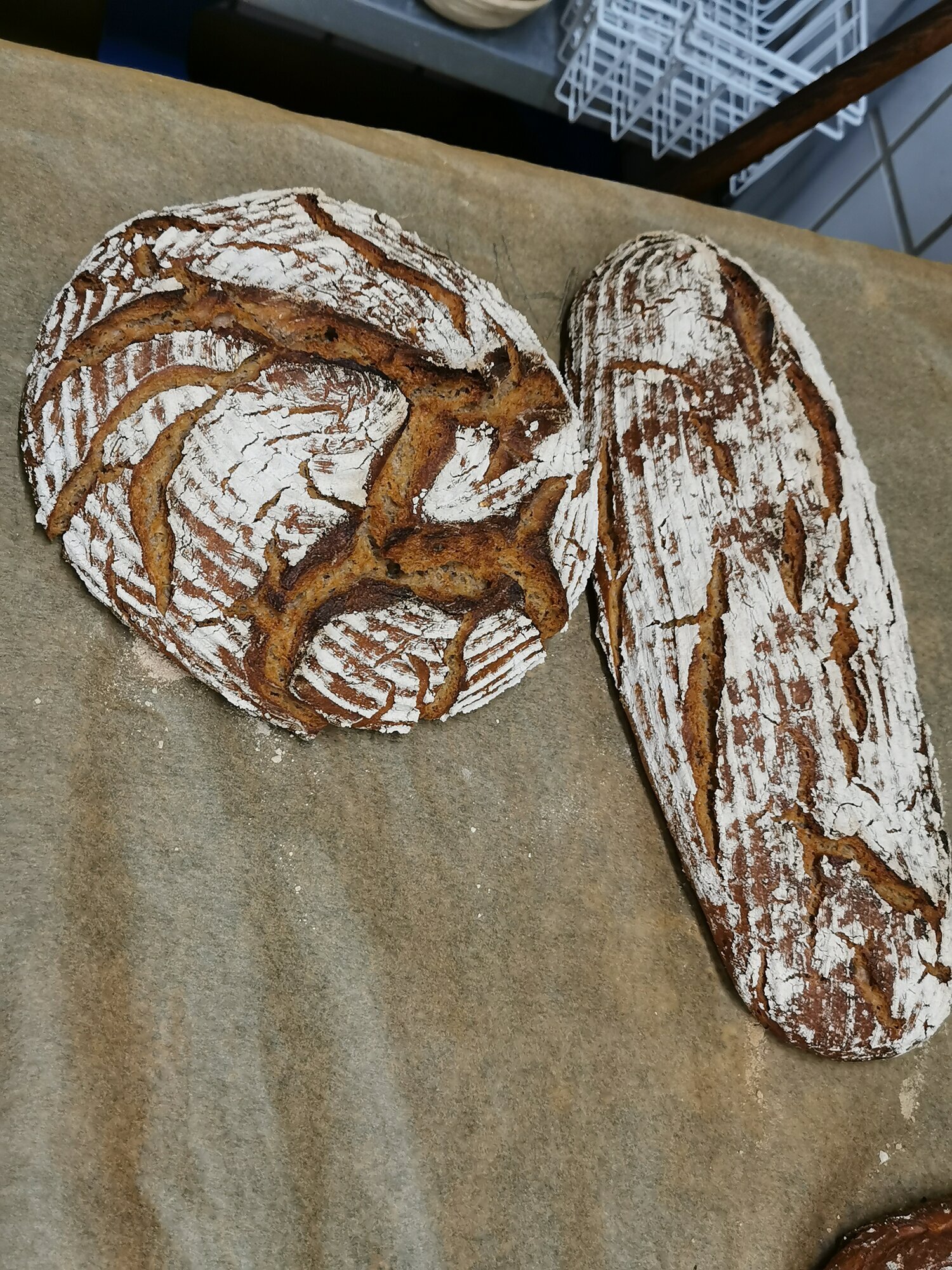 Bilder Brotbackkurse Walzel