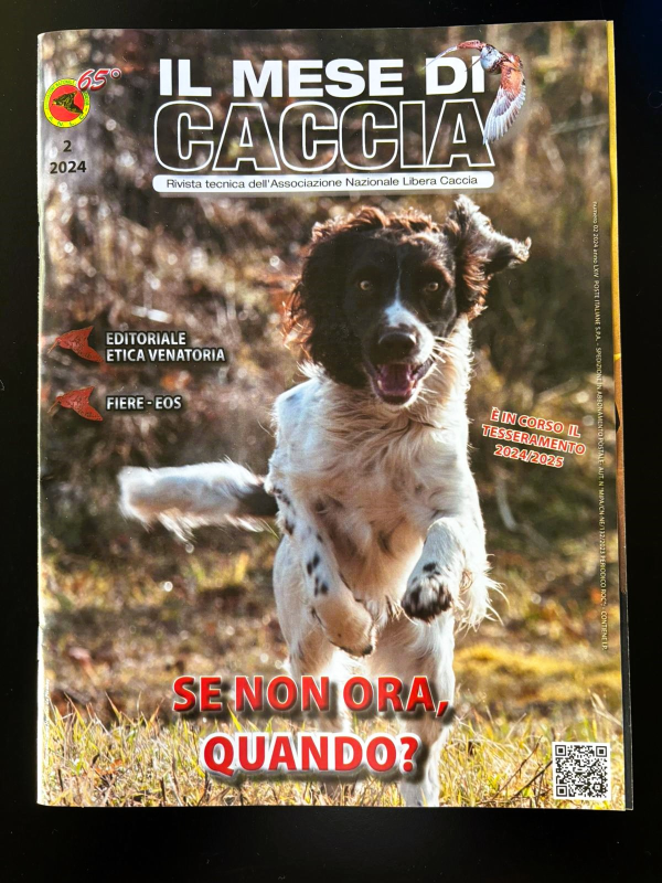 Images CantelliNet