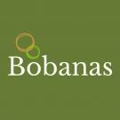 Bobanas Logo