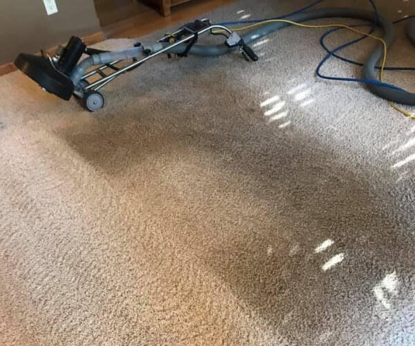 cheap carpet cleaning