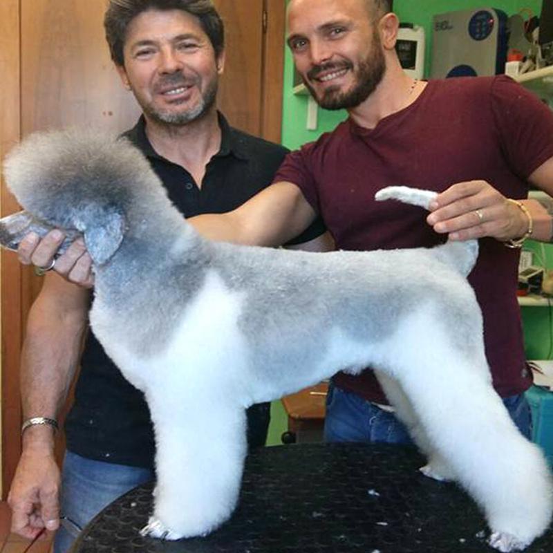 Images Toelettatura Salandra Francesco