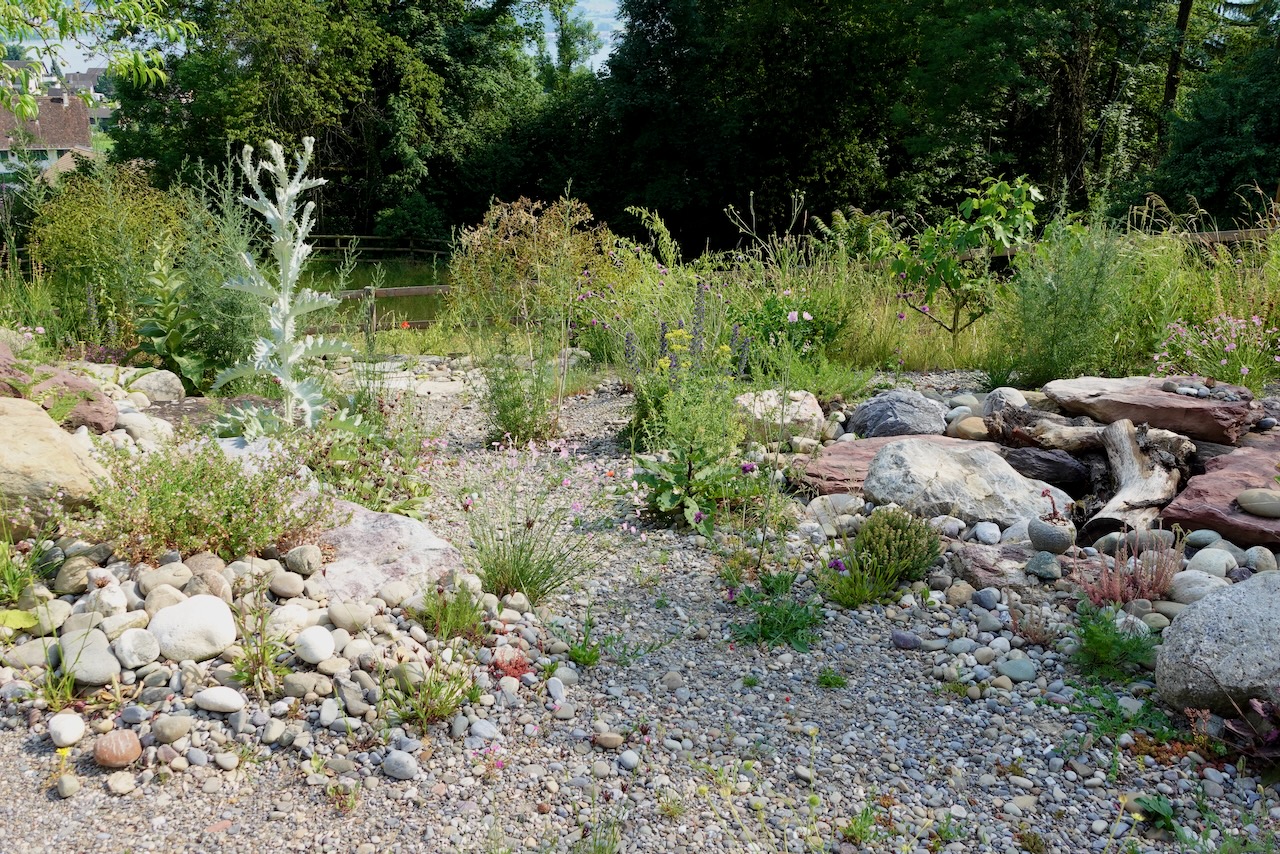 Bilder Wildblumendienst