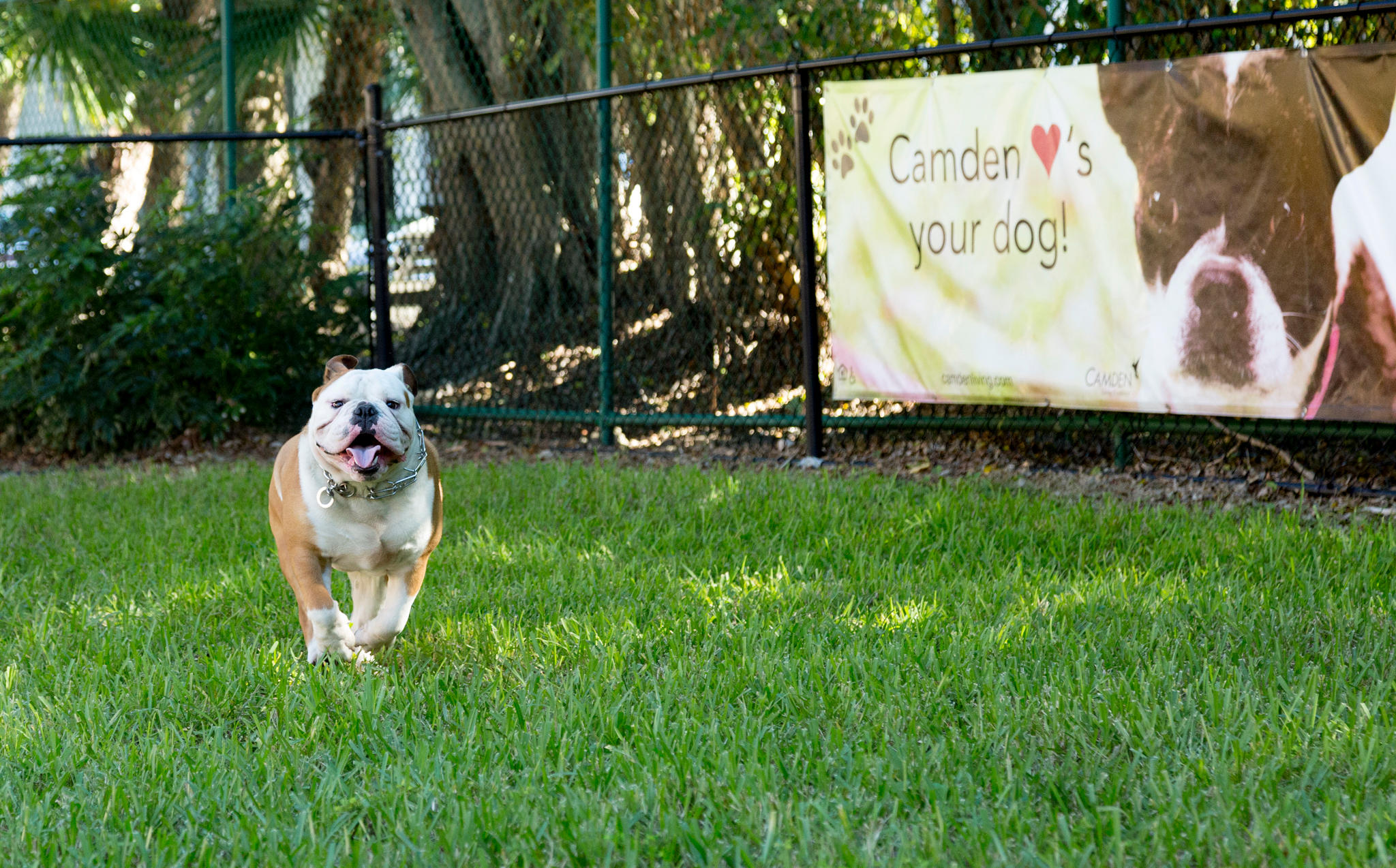 Camden Doral Apartments Photo