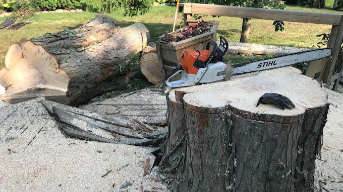 S&P Tree Professionals offers reliable tree removal services to address your tree-related concerns. Our experienced team is dedicated to safely and efficiently removing trees from your property, ensuring your safety and preserving the aesthetics of your landscape.