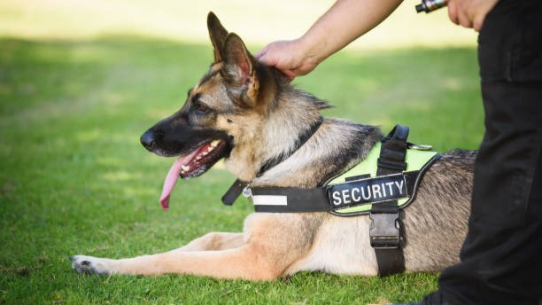 Images Brisbane Valley Security Services