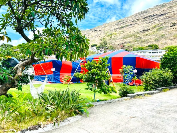 Images Absolute Termite And Pest Control