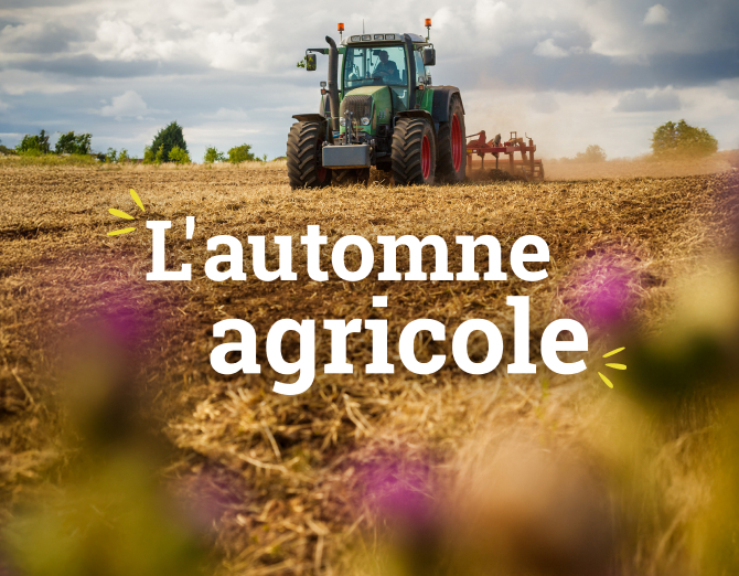 L'automne agricole