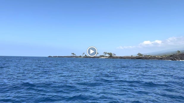 Images Kona Snorkel Trips