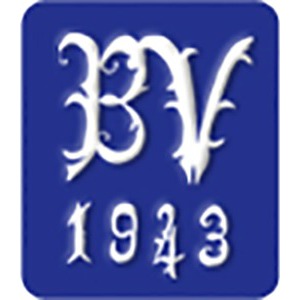 Bjerge Vognmandsforretning ApS Logo