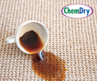 Chem-Dry leads the industry in products and solutions, helping you win the battle against tough stains.