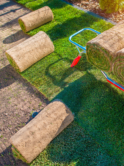 Erft GaLaBau Kerpen, Lothringer Str. 23 in Kerpen