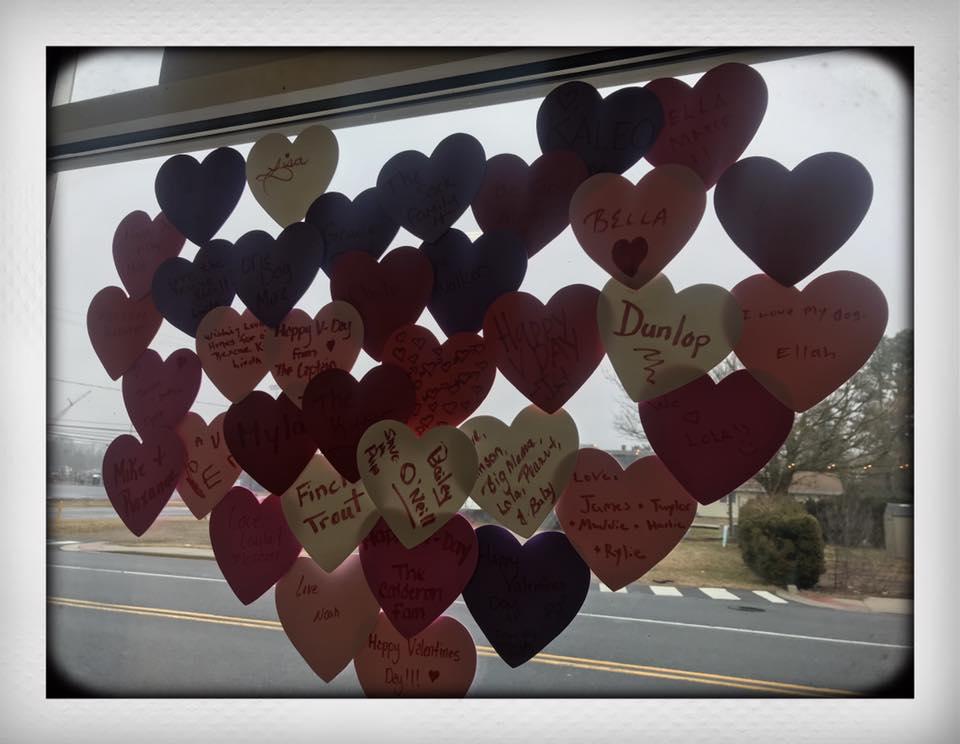 Hearts For Paws Fundraiser Yarn & Bone Pet Supply Company