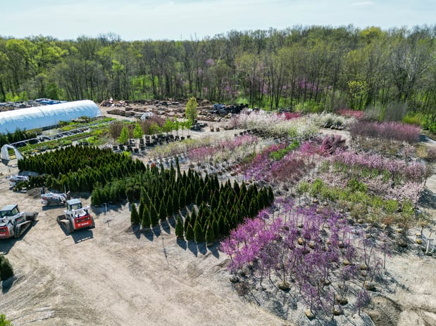 Images Superior Garden Center