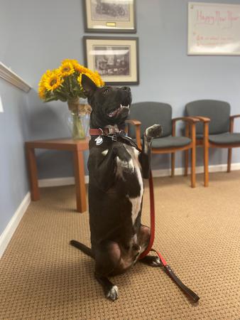 Images John Grimes - State Farm Insurance Agent